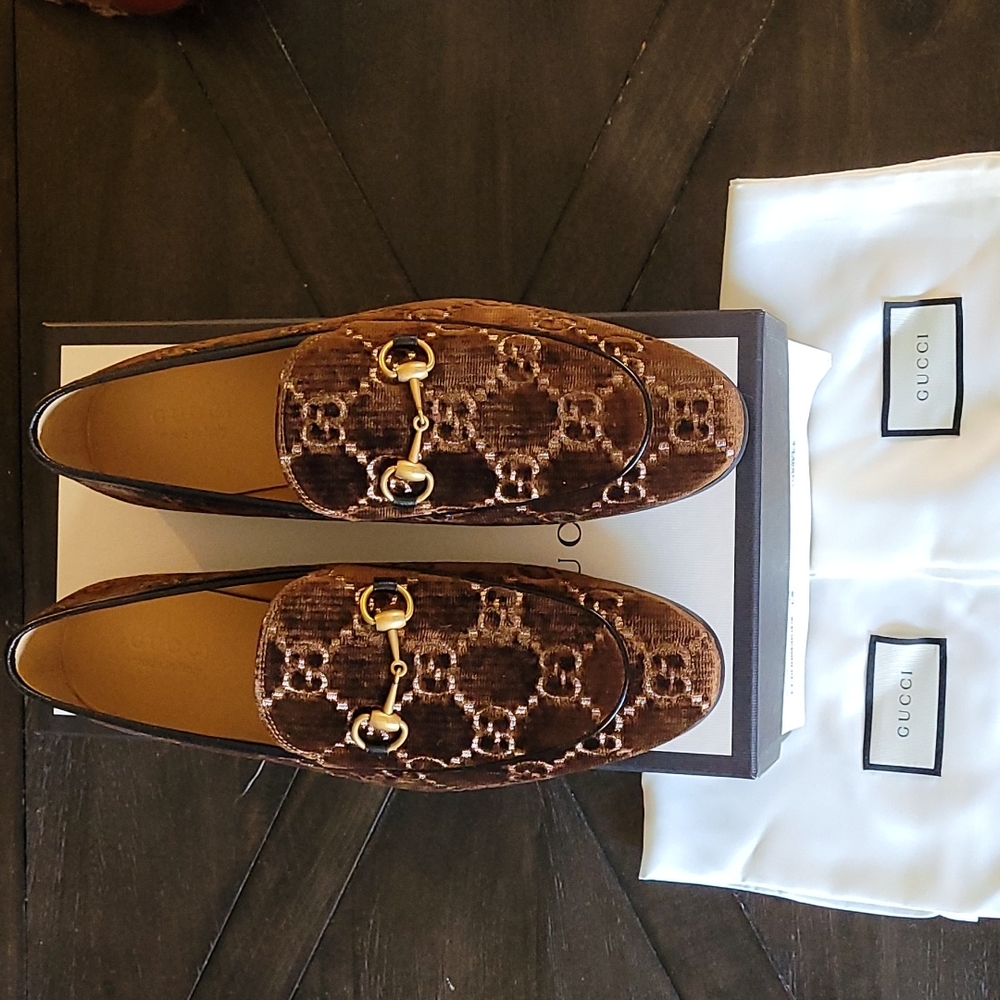 Gucci velvet GG Quentin Brown brand new!